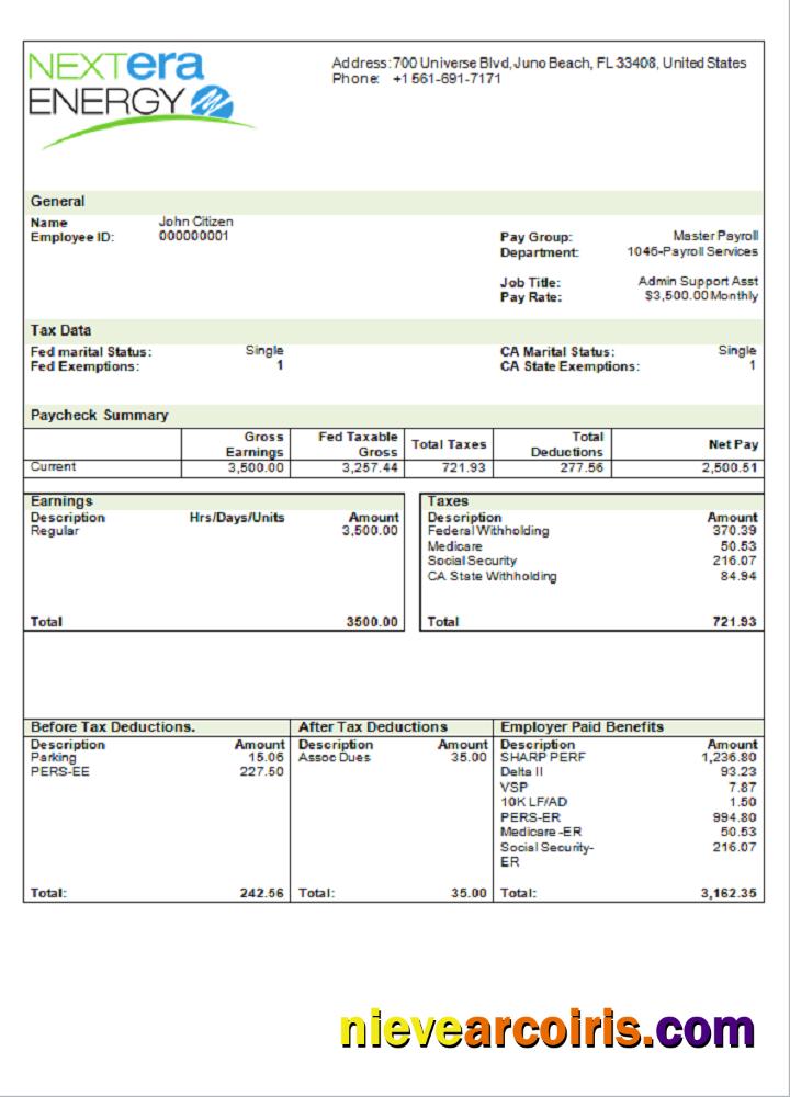 USA NextEra Energy electric company pay stub